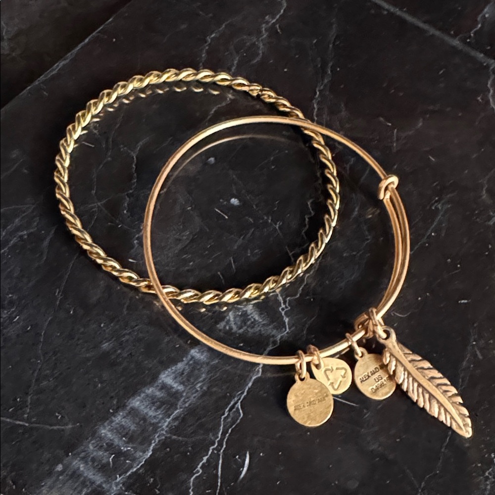 ALEX and ANI Feather (+) Energy Charm Bracelet and Rope Gold-Tone Bangle